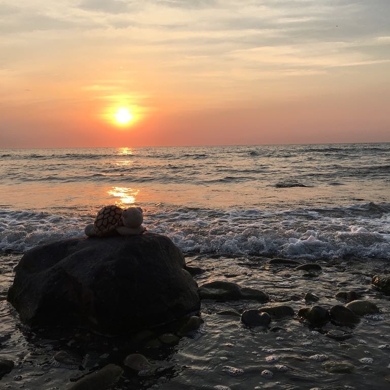 #kühlungsborn #rerik #balticsea #bnesimppl
