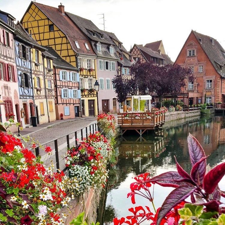 #tbt Colmar, France ???????? what an amazing surprise. I planned to just drive through…