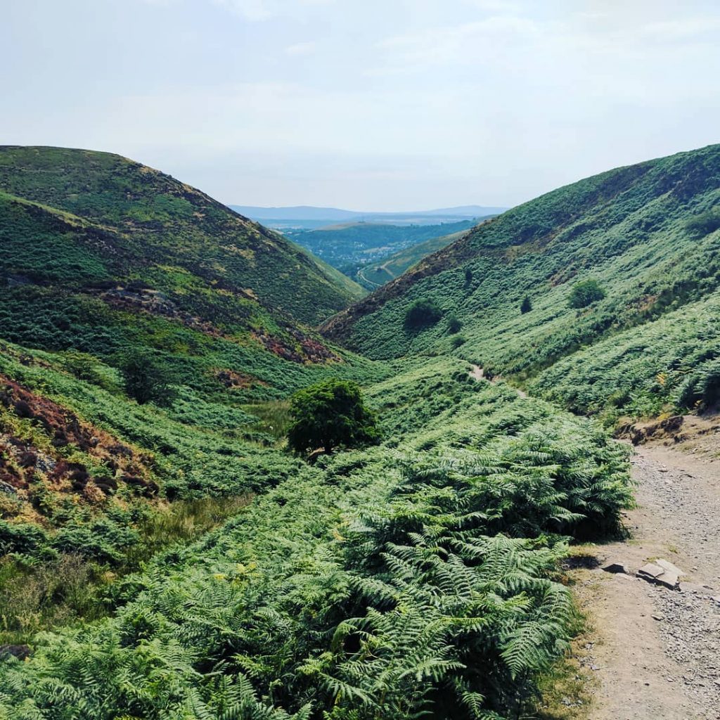 Had a five mile hike today which was challengibg but enjoyable. #Shropshire #unitedkingdom???????? #visitengland&hellip;