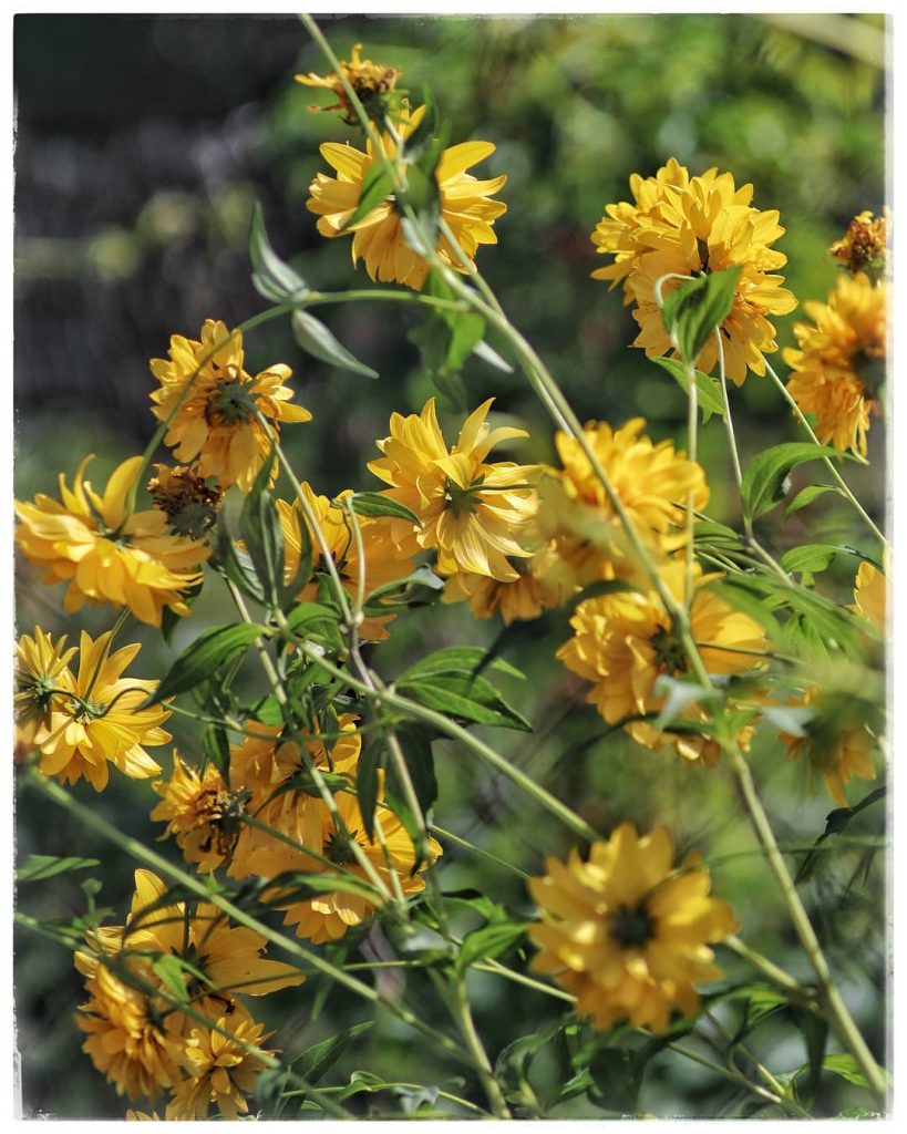 ⠀ ⠀⠀ ⠀⠀ ⠀⠀ ⠀ ⠀ ⠀ ⠀⠀ ⠀ ⠀ ⠀ ⠀ ⠀⠀ ⠀&hellip;