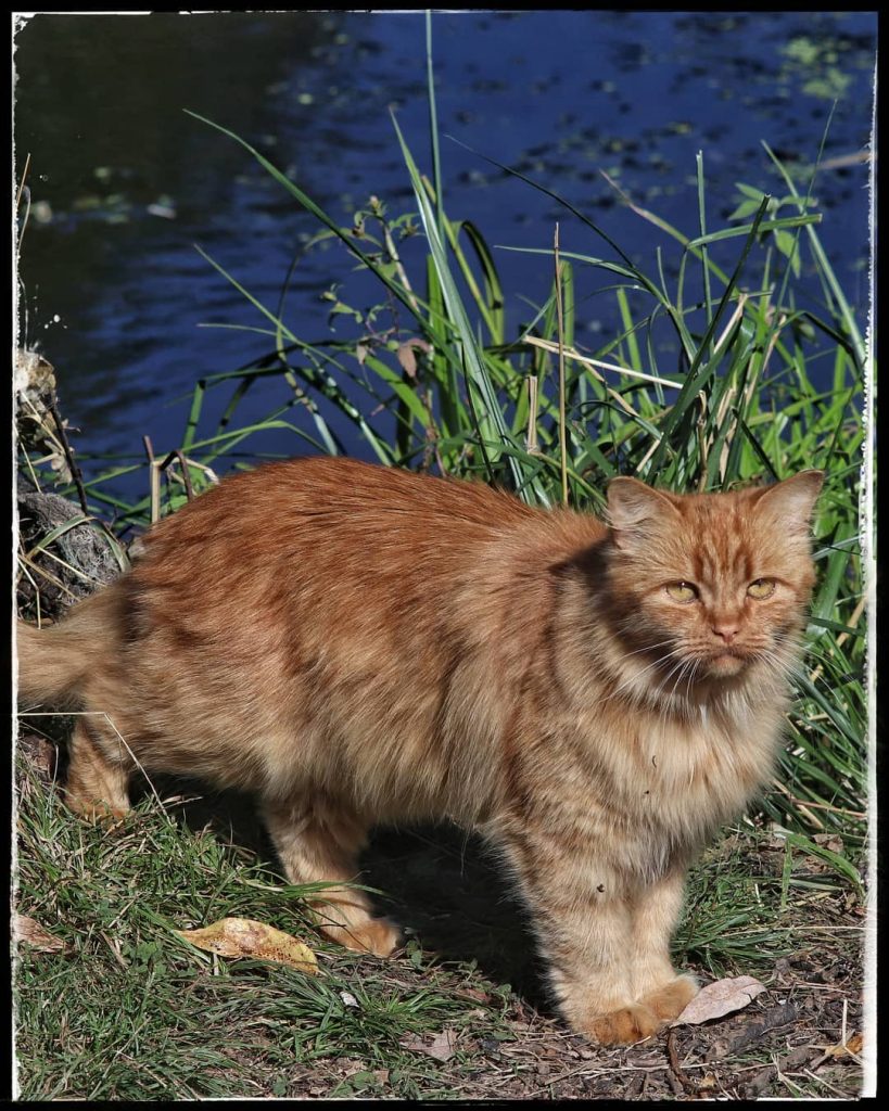 ⠀ ⠀⠀ ⠀⠀ ⠀⠀ ⠀ ⠀ ⠀ ⠀⠀ ⠀ ⠀ ⠀ ⠀ ⠀⠀ ⠀&hellip;