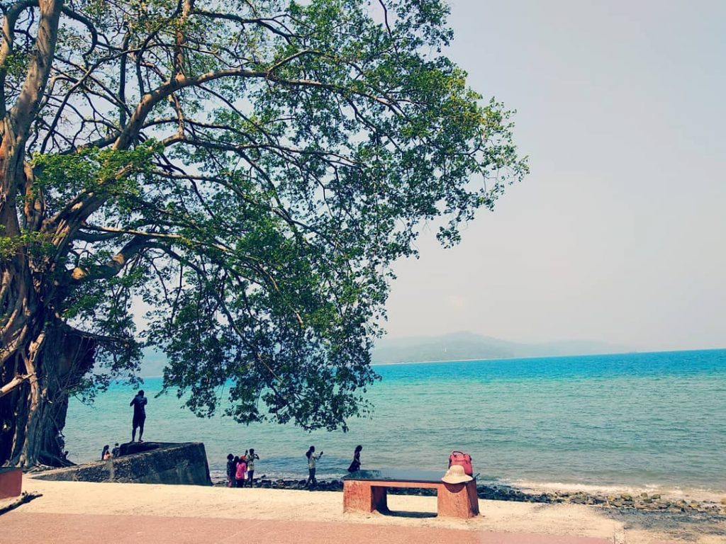 #Andamandiaries️️️ #mobile_photography__ #mobile_photography #phone_photography #mobile__photography___ #mobile_photographyofficial #mobile__photography__ #world_photography_page #gods_beauty_shines #photo #picsart #photographers_of_india #awesome.photographers #awesome.pix&hellip;