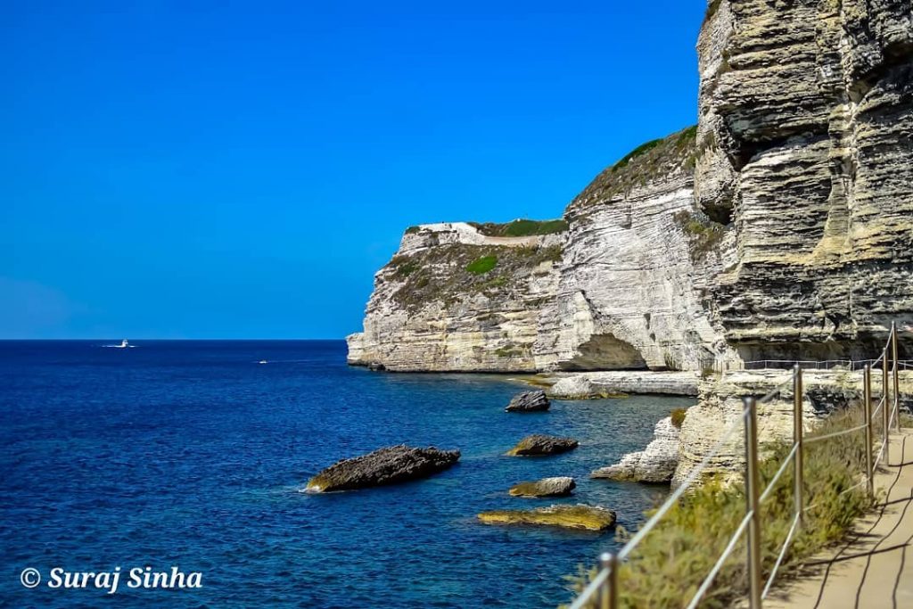 Look deep into nature, and then you will understand everything better. #corsica #france #nature&hellip;