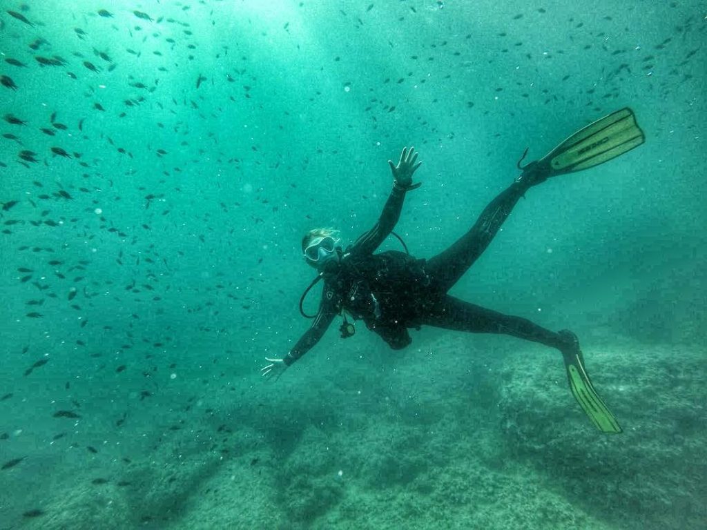 Buceando entre castañuelas Diving among small fish • #padigirl #padiwomen #divinggirls #marinelive #fish #uwlife&hellip;