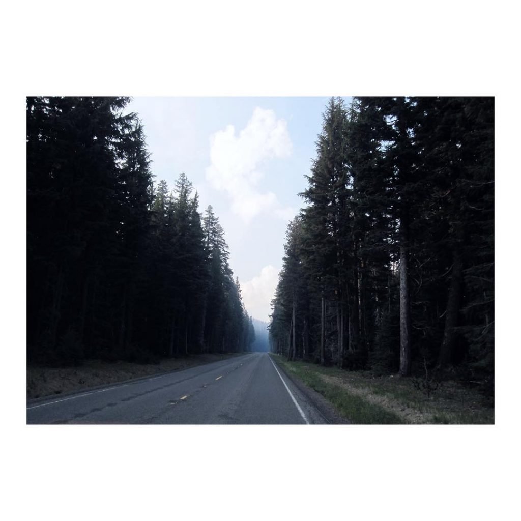•FOREST• #oregon #ontheroad #glum #driving #pinetrees #coldday #green #nature #bnesimppl