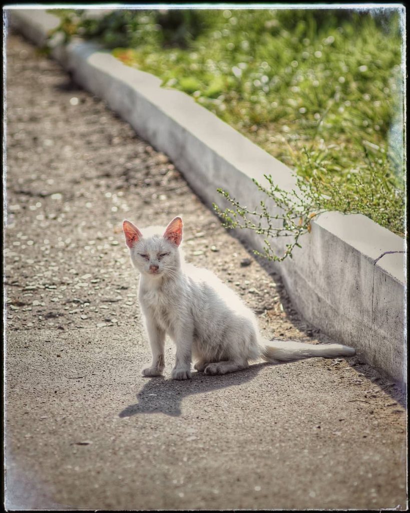 ⠀ ⠀⠀ ⠀⠀ ⠀⠀ ⠀ ⠀ ⠀ ⠀⠀ ⠀ ⠀ ⠀ ⠀ ⠀⠀ ⠀&hellip;