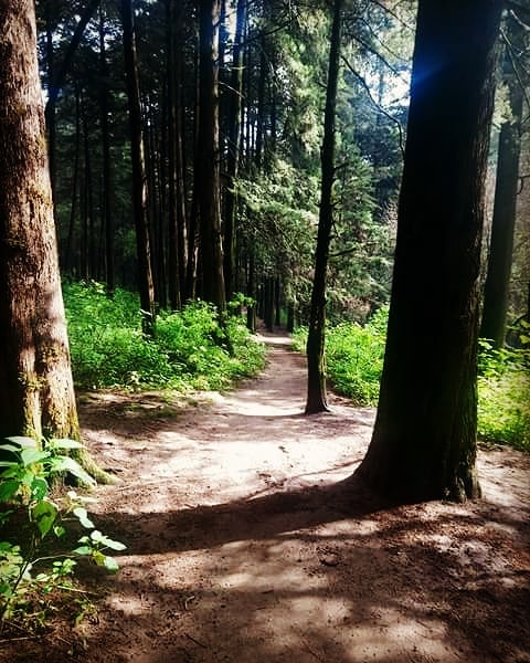 Nada como la natura, la amo. #naturephotography #nature_good #naturalezaurbana #naturelover #nature #naturalresponse #naturel #naturallyshesdope&hellip;