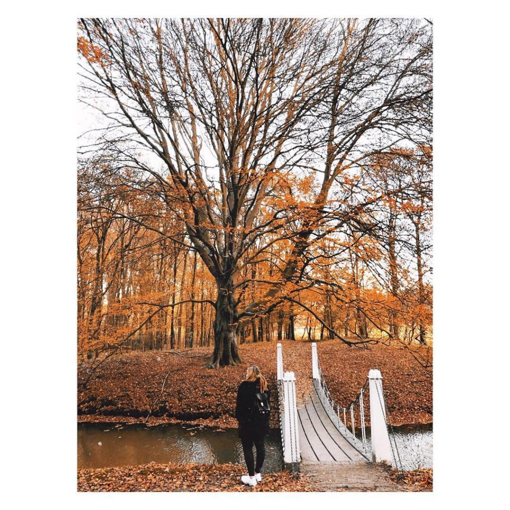 And the sun took a step back, the leaves lulled themselves to sleep and…