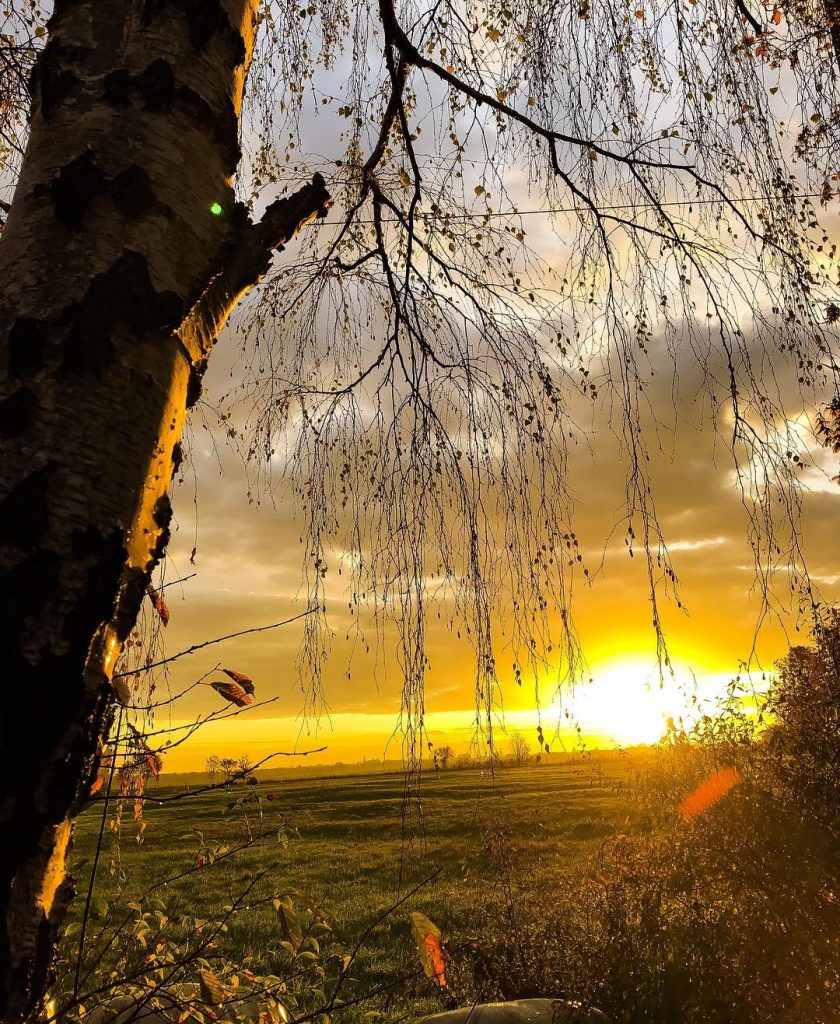 #Sunshine #morningsun #heimat #homesweethome #onahike #hiking #dogtour #landscapephotography #landschaftsfotografie #landschaftsschutzgebiet #weiden #herbst #sonnenschein #nature…