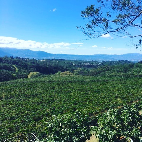 In the beautiful fields of Costa Rica @grandfamilyadventures @grandfamilyadventures @grandfamilyadventures #travel #beautiful #luxury #costarica&hellip;