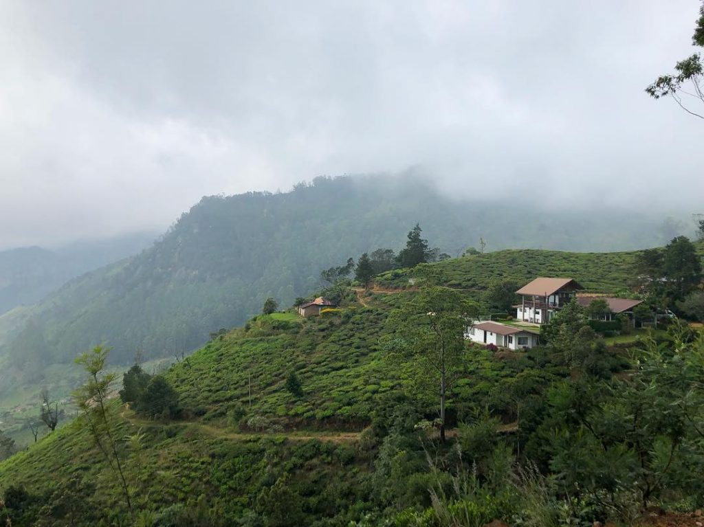 These next few photos are probably my favourite of the Sri Lanka collection. Made&hellip;