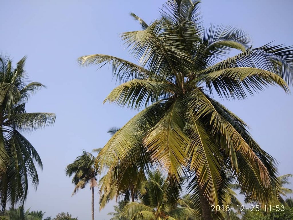 An amazing and exotic location that cherishes every ounce of your heart . A…