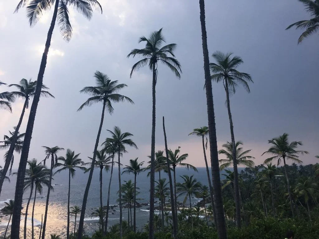 One day I’m gonna make the onions cry. #sunset Mirissa (Sri Lanka) 2018 .&hellip;