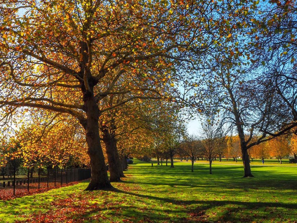 Windsor | Travel 2018 #visitlondonofficial #thelondonlifeinc #london4all #photosofbritain #ukpotd #ilovelondon #discoverlondon #travelholics #uk_shots #traveladdicts&hellip;