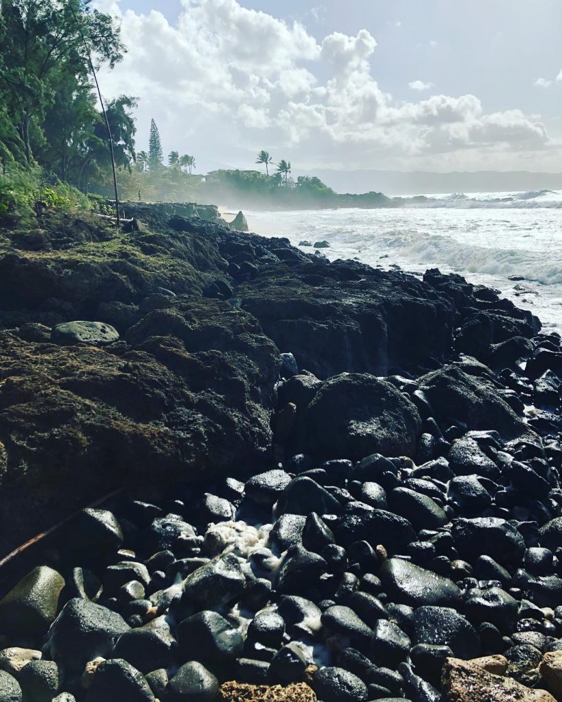 The ocean is wild today!