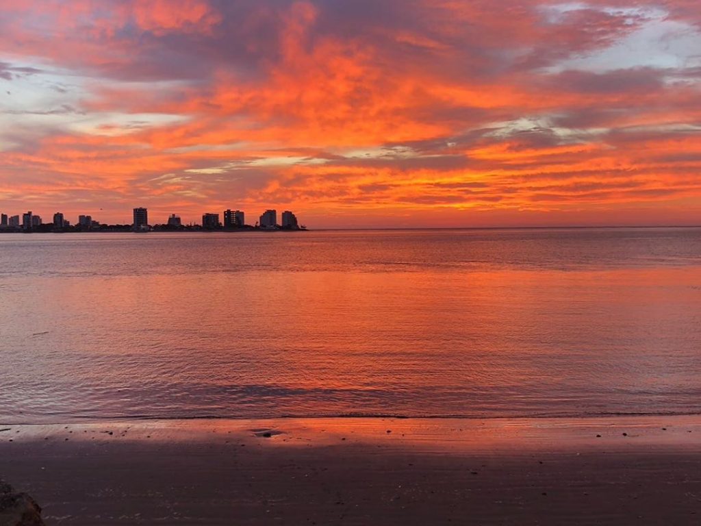 #photo #photos #pic #pics #envywear #picture #pictures #snapshot #art #beautiful #instagood #picoftheday #photooftheday #color&hellip;