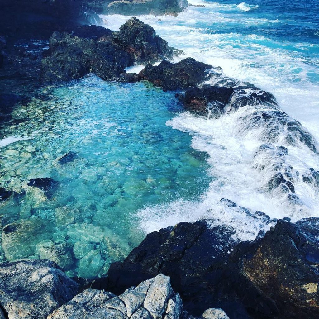 When life gives you lemons, squirt em in your eyes and start running. Something&hellip;