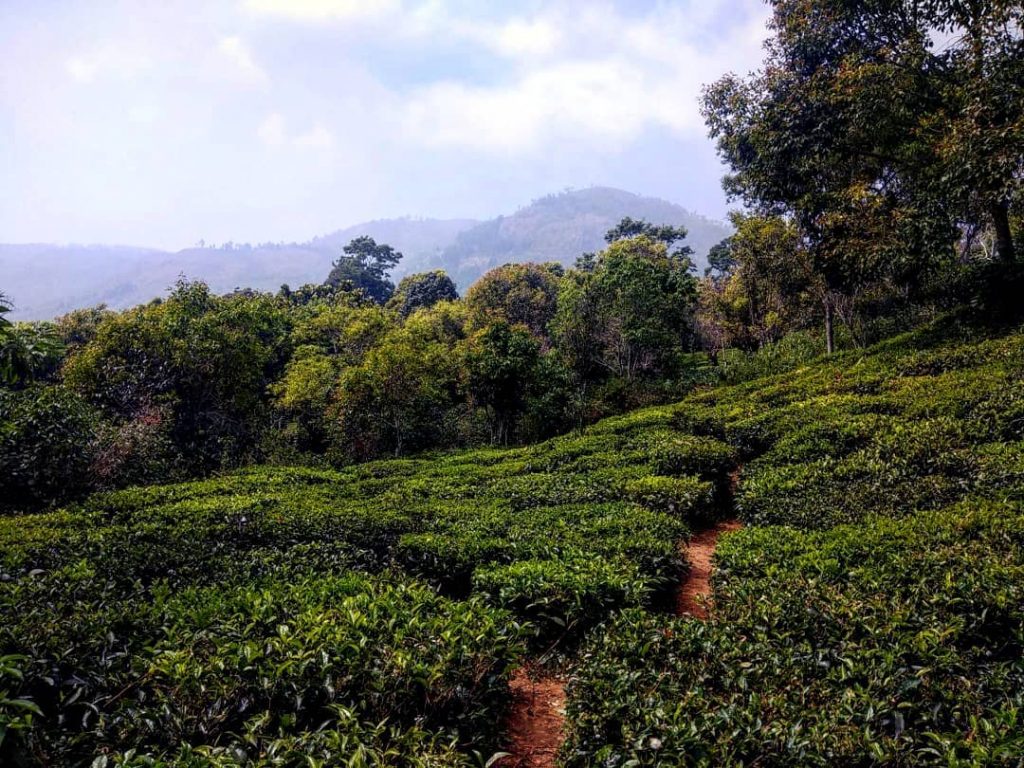 I stumbled upon a trail leading out of a quiet little village and into&hellip;