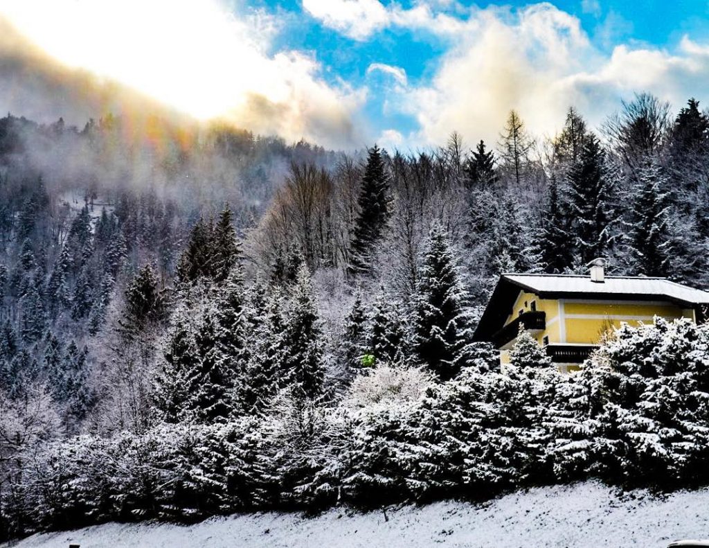 Snowy woods – Follow me for more @fedegon06 – #lightroom – #snow #snowy #sun&hellip;