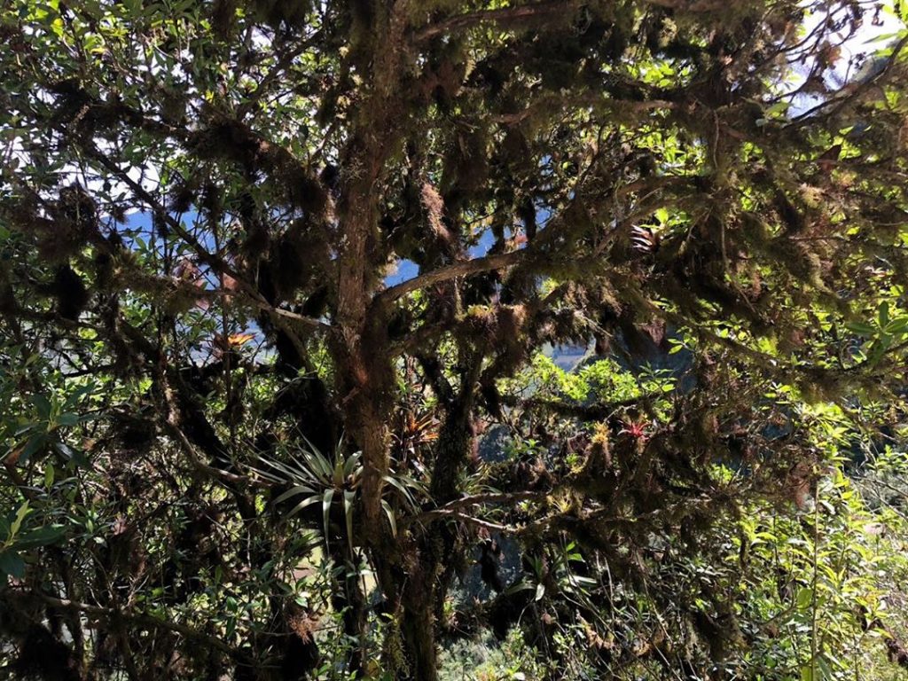 #beautiful_world #beautifulworld #london #globe_travel #unitedkingdom #letsgosomewhere #natgeo #nationalgeographic #roamtheplanet #travel #travel_captures #travel_drops #traveladdict #travelblogger&hellip;