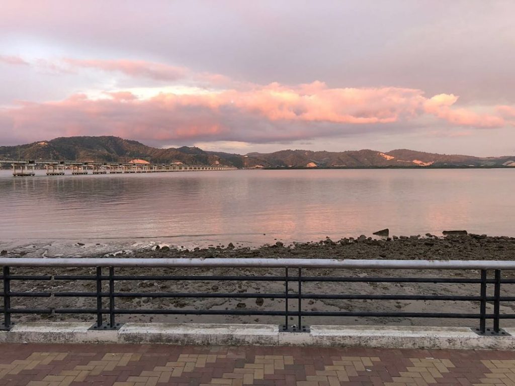 #photo #photos #pic #pics #envywear #picture #pictures #snapshot #art #beautiful #instagood #picoftheday #photooftheday #color&hellip;