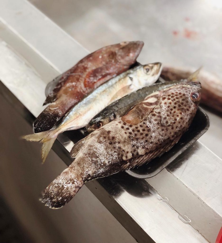 Meet and stay with Locals. #oman #muskat #fishmarket #fish #travelholic #ocean #exploringtheglobe #travelgirl #travelgram&hellip;