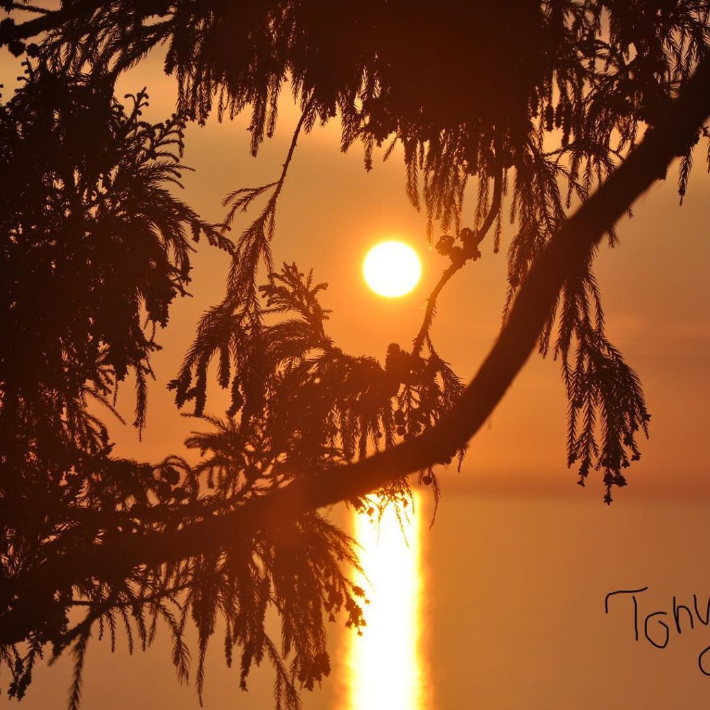 “Grace” . #abhazia #sochi #naturephotography #sunset #sunsetbeach #новыйафон #абхазия #travelphotography #travelblogger #travelgram #travelholic #travelguide&hellip;