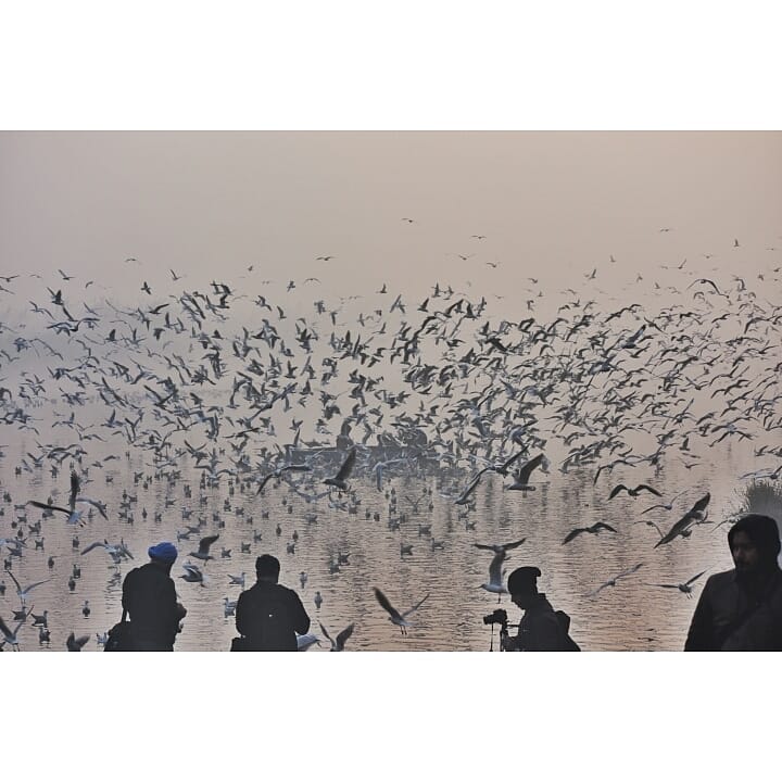 Yamuna Ghat Scenes. #nadaanparindey . . . . . . . . #pixeldiary #apfmagazine&hellip;