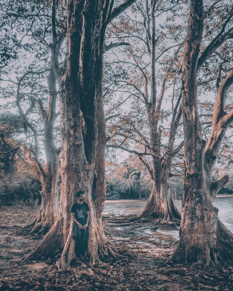 L A K E S I D ️ ???????? . .. … …. …..&hellip;