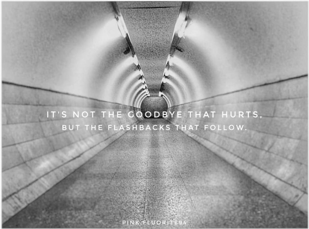 The flashbacks that follow. ___________________ . . . . . . . . .…