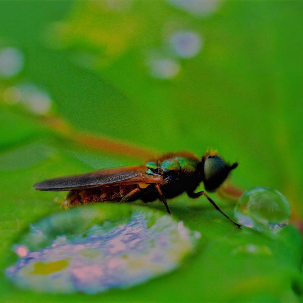 #fotoartistiche #bnesimppl #fotartplgz #pierluigizag Edited with: @carbonblackandwhite _ #instagrammers #igers #instalove #instamood #instagood #followme&hellip;