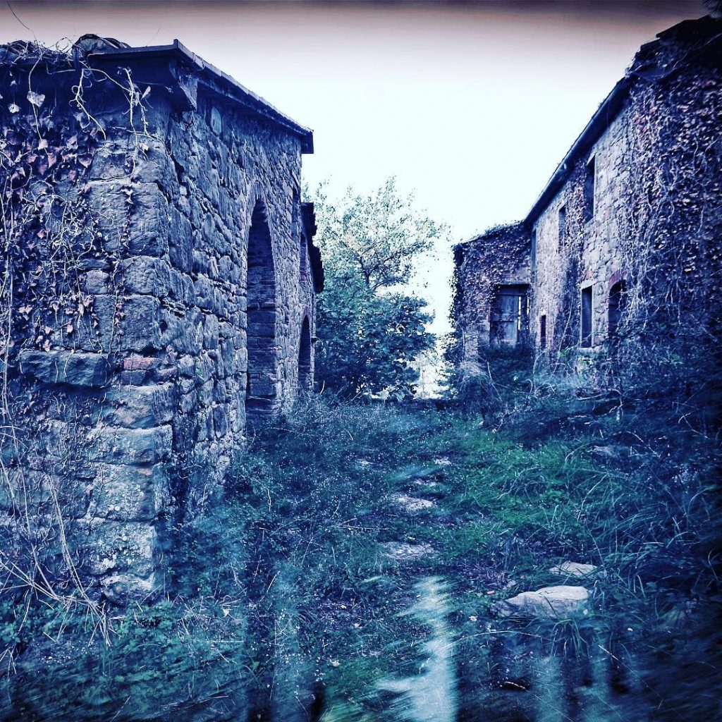 #fotoartistiche #bnesimppl #fotartplgz #pierluigizag #valdichiana Edited with: @carbonblackandwhite _ #landscape #amazing #view #trip #tree&hellip;