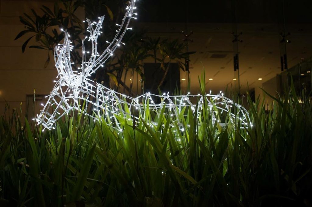 Throwback to Christmas decorations @colombocitycentre . (Shot with Nikon D3300 ,18-55mm lens ) .&hellip;