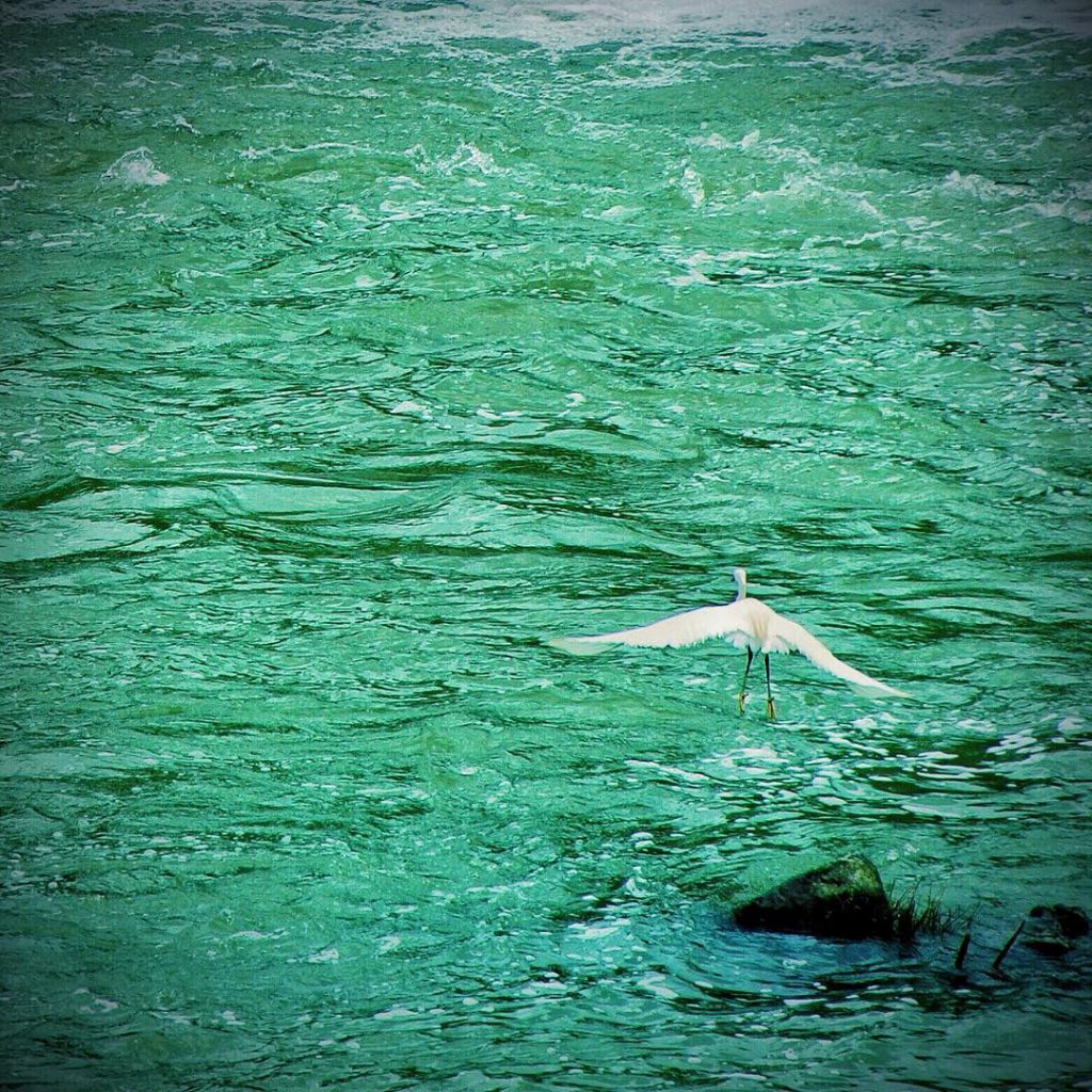 #fotoartistiche #bnesimppl #fotartplgz #pierluigizag Edited with: @carbonblackandwhite _ #weather #skylovers #natureporn #amazing #skypainters #gf_daily&hellip;