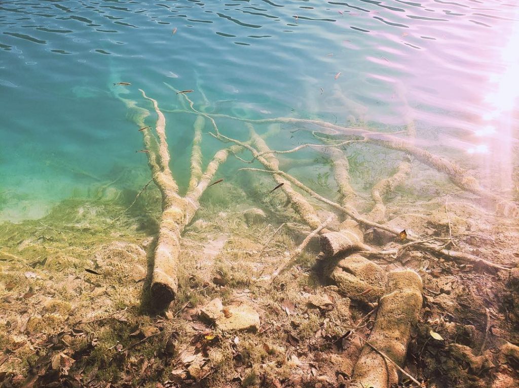 That reflection and clarity is everything. Comment below if you agree! #laytonsontherun #traveltogether #coupleswhotraveltogetherstaytogether&hellip;