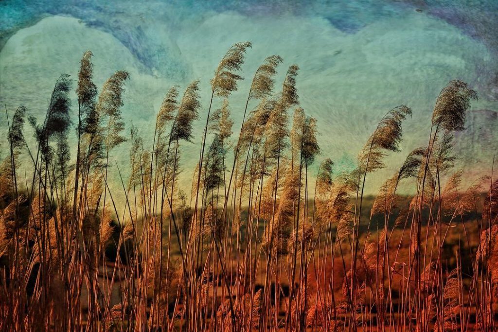 #fotoartistiche #bnesimppl #fotartplgz #pierluigizag Edited with: @carbonblackandwhite _ #weather #skylovers #natureporn #amazing #skypainters #gf_daily&hellip;