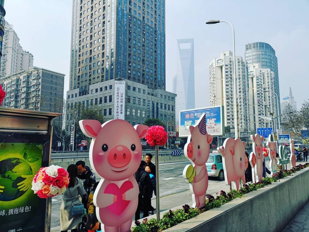 Welcoming the year of the . . . #travels #traveldiary #igtravels #journey #instatravel #instalike&hellip;