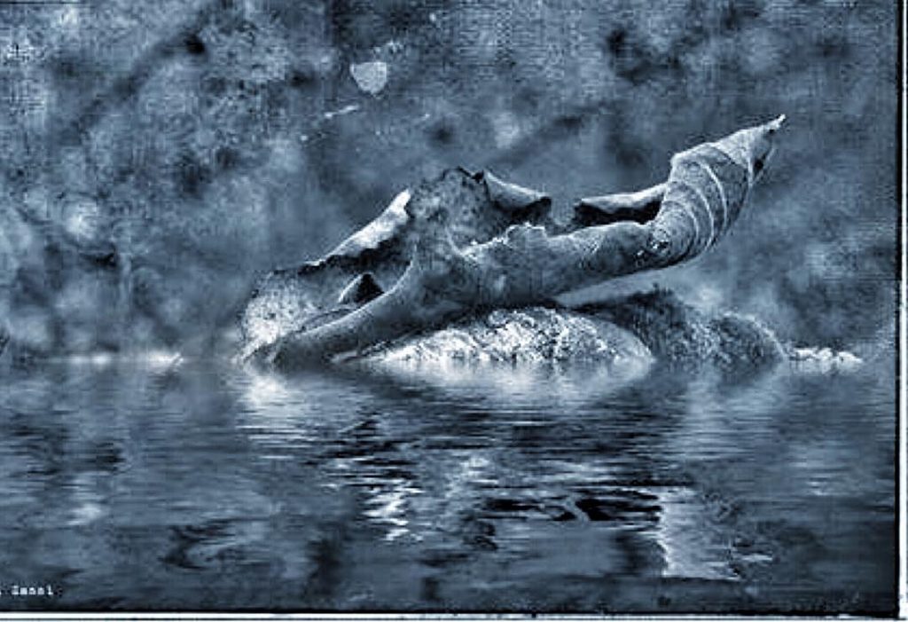 #fotoartistiche #bnesimppl #fotartplgz #pierluigizag Edited with: @carbonblackandwhite _ #weather #skylovers #natureporn #amazing #skypainters #gf_daily&hellip;