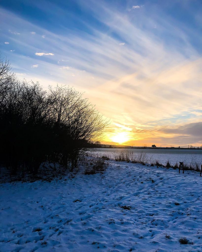 #Sunshine #heimat #homesweethome #winter #snow #snowtime #ice #winterimpressionen #landscapephotography #landschaftsfotografie #landschaftsschutzgebiet #gebüsch #eis #sonnenschein&hellip;