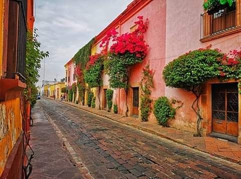 Querétaro y sus calles . . #traveladdict #travelblog #travelers #traveller #travelphoto #travels #travelformexico #travelgram&hellip;