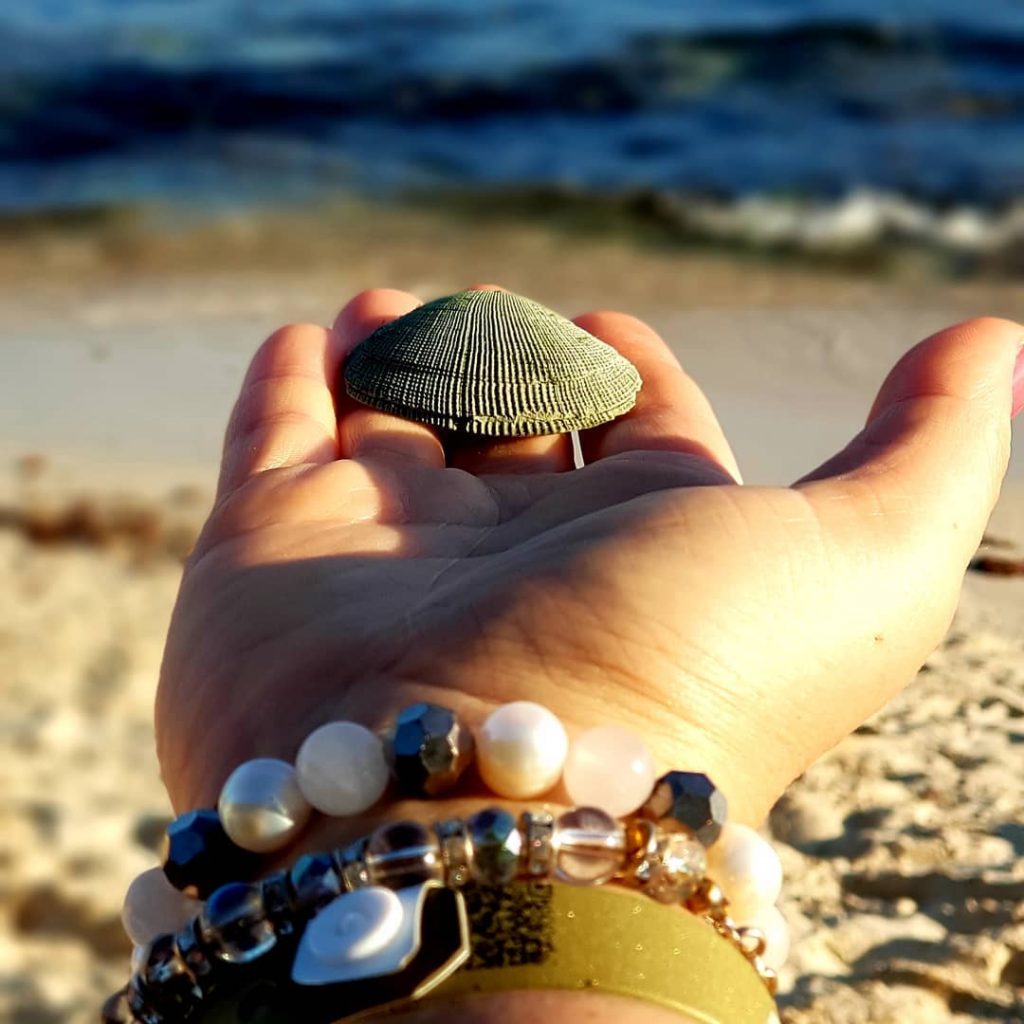Lásd meg a csodát minden apróságban! / See the miracle in every little thing.…