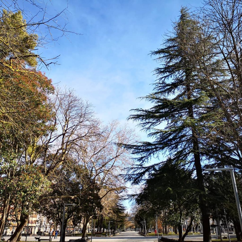 Cielo azul, parque del Salón, Palencia #photography #photo #google #googlelocalguides #video #travelphoto #travelgram #instagramers&hellip;