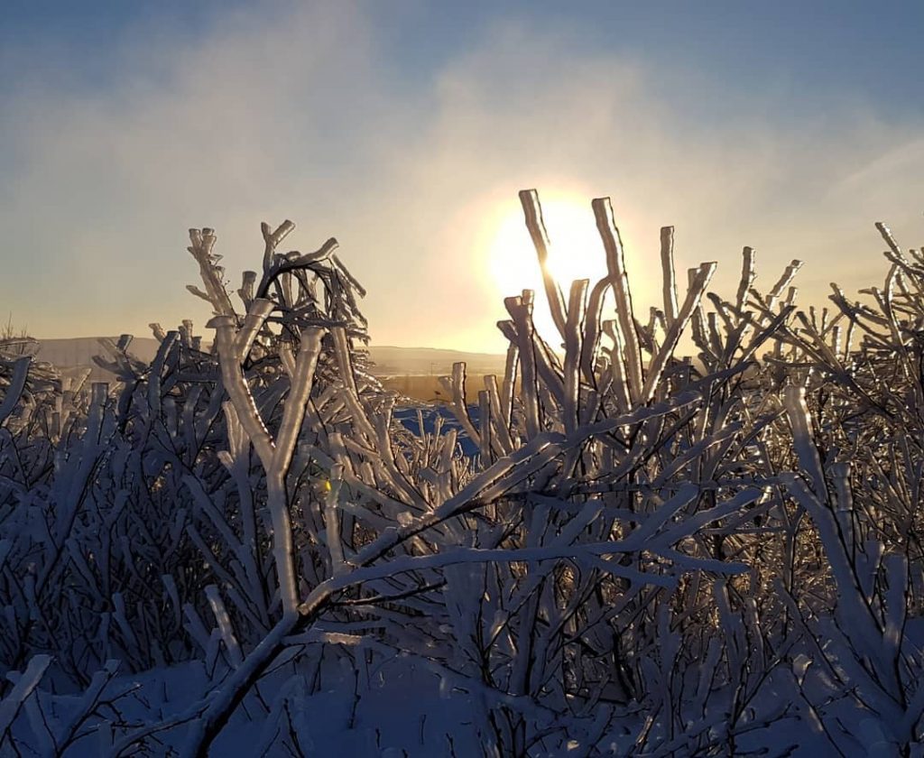 Iceland land of fire and ice #iceland #iceland???????? #fireandice #travelphotography #traveling #travelgram #travel #photographie&hellip;