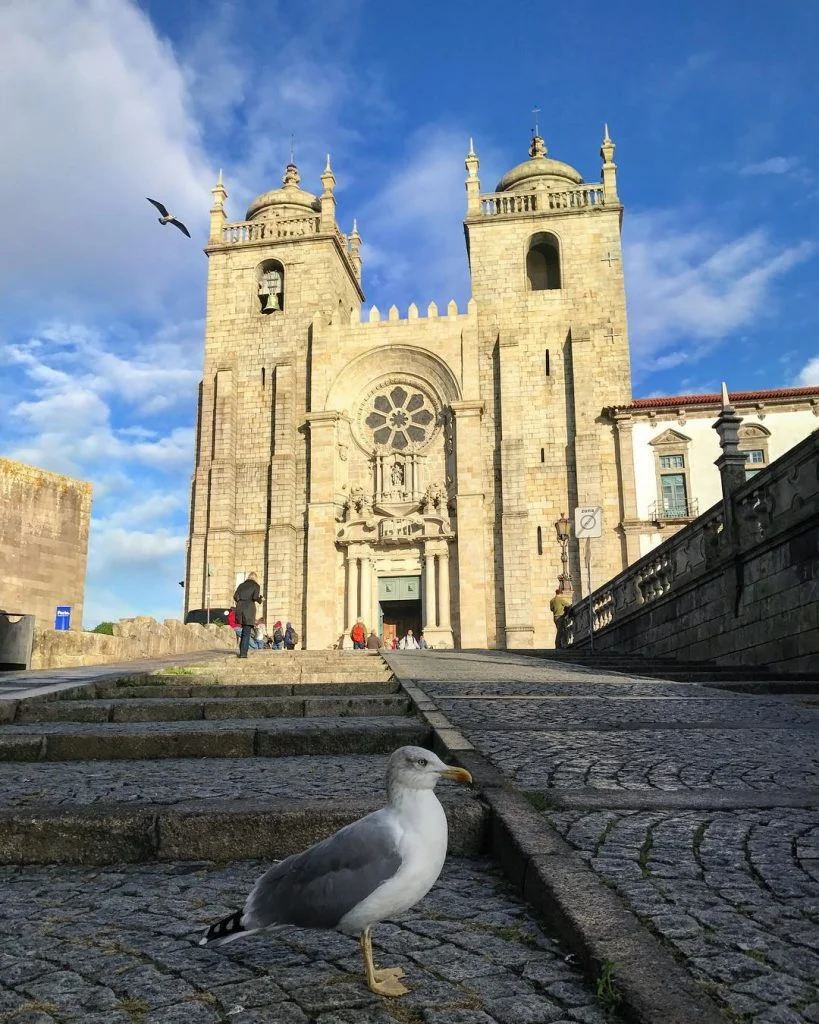 #porto #portugal #葡萄牙 #timeoutporto #travel #backpackers #adventuretime #背包客 #igersportugal #igerportugal #iamtb #travelrepost #bnesimppl #portugaltravel&hellip;