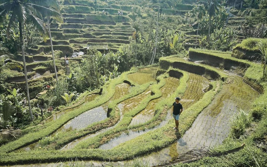 Most of the time all we need is to look at the right perspective.&hellip;