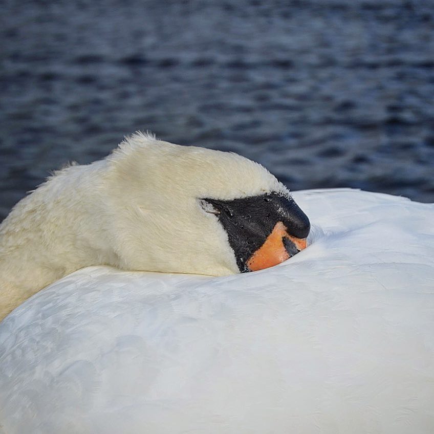 Beauties of Scotland . . . . . . . . . #travel #travelblogger&hellip;