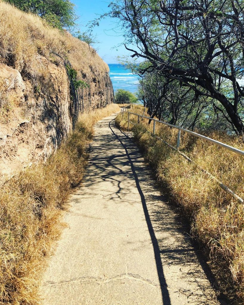 Some paths are meant to be wandered on