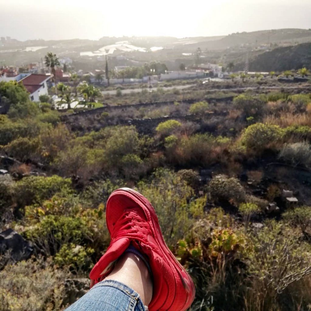 I could just sit here all day and watch the amazing ️ #Tenerifelicious #Tenerifefelicidad…