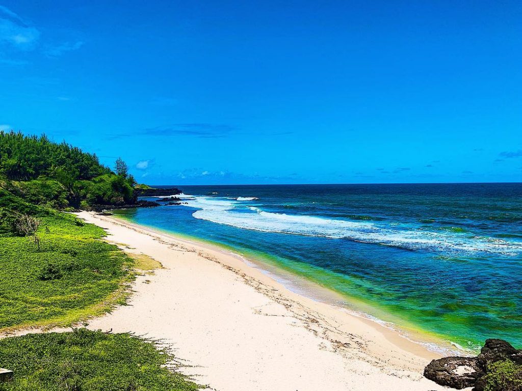 Green & Blue all over my place . . . . . . .&hellip;