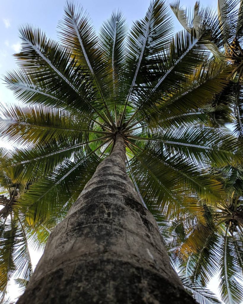 Perfect circle #alibaug #alibaugdiaries #akshibeach #creativephotography #maharashtra_clickers #mumbai_ig #maharashtratourism #traveller #naturelovers #naturephotography #mumbai_uncensored #bnesimppl&hellip;